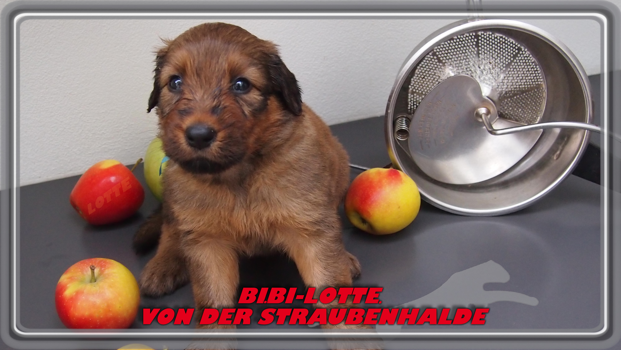 W&auml;ller von der Straubenhalde